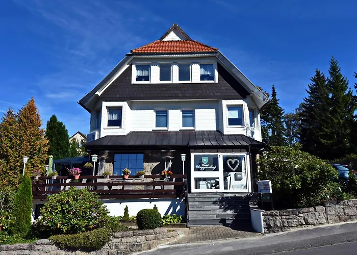 Braunlage Hotels with a View
